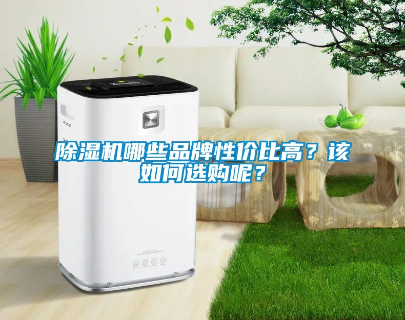 除濕機哪些品牌性價比高？該如何選購呢？