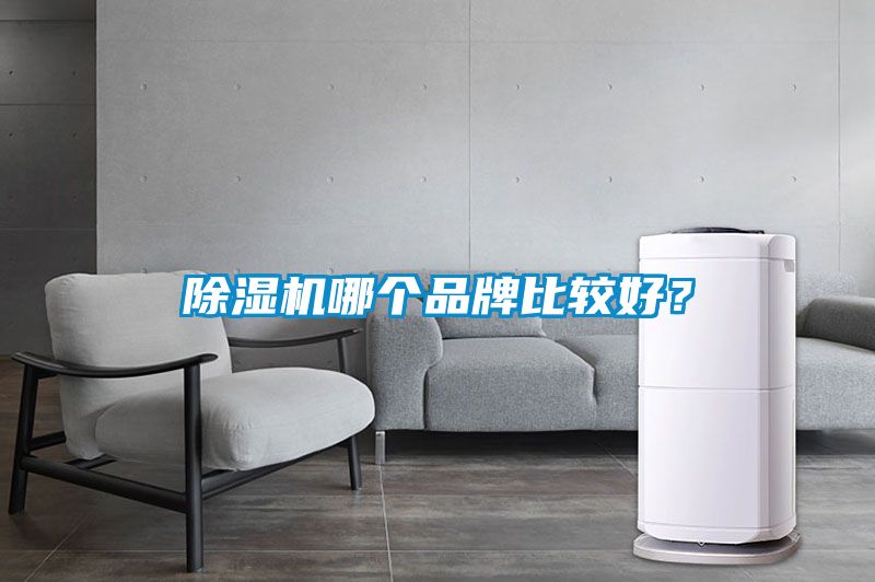 除濕機(jī)哪個(gè)品牌比較好？