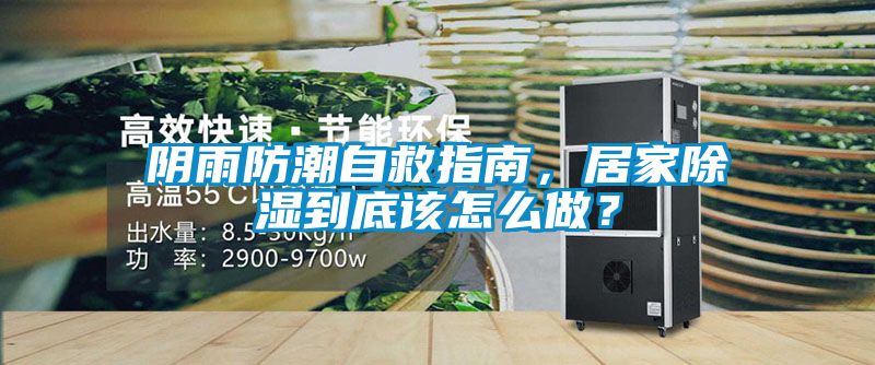 陰雨防潮自救指南，居家除濕到底該怎么做？