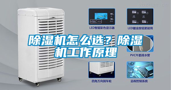 除濕機怎么選？除濕機工作原理