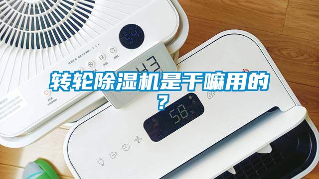 轉(zhuǎn)輪除濕機是干嘛用的？