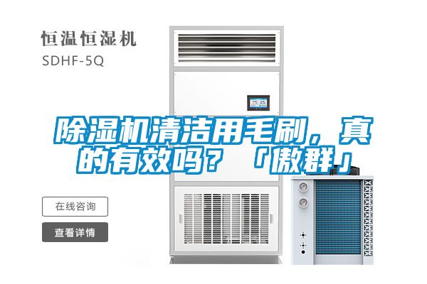 除濕機清潔用毛刷，真的有效嗎？「傲群」