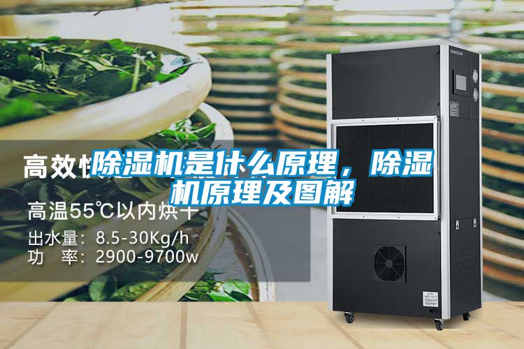 除濕機是什么原理，除濕機原理及圖解