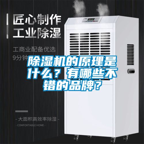 除濕機(jī)的原理是什么？有哪些不錯(cuò)的品牌？