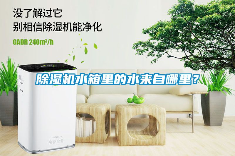 除濕機水箱里的水來自哪里？