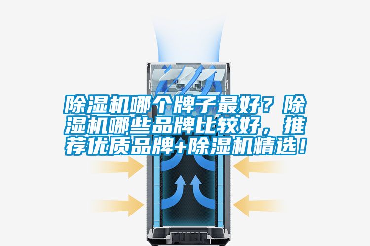 除濕機哪個牌子最好？除濕機哪些品牌比較好，推薦優(yōu)質(zhì)品牌+除濕機精選！