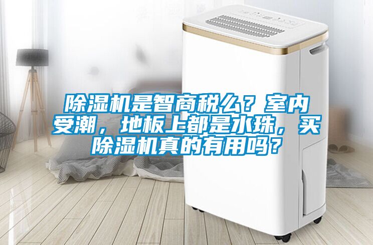 除濕機(jī)是智商稅么？室內(nèi)受潮，地板上都是水珠，買除濕機(jī)真的有用嗎？