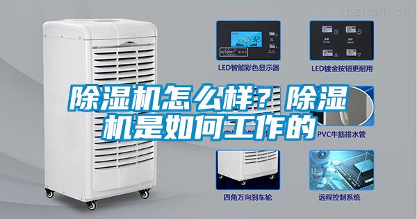 除濕機怎么樣？除濕機是如何工作的