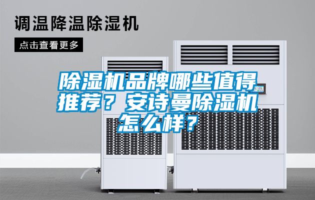 除濕機品牌哪些值得推薦？安詩曼除濕機怎么樣？