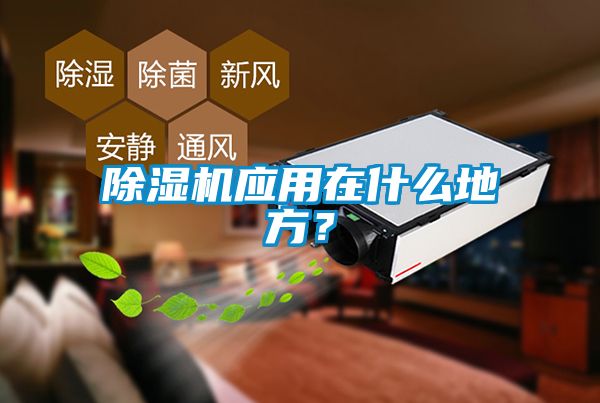 除濕機應(yīng)用在什么地方？