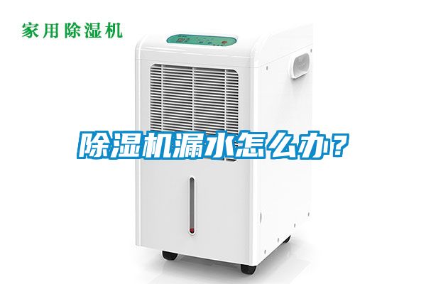 除濕機漏水怎么辦？
