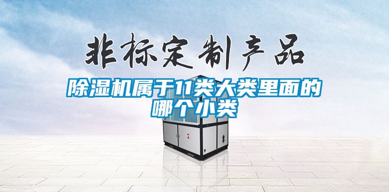 除濕機(jī)屬于11類(lèi)大類(lèi)里面的哪個(gè)小類(lèi)