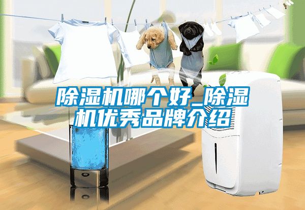 除濕機(jī)哪個好_除濕機(jī)優(yōu)秀品牌介紹