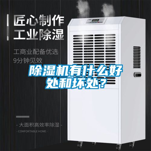 除濕機(jī)有什么好處和壞處？