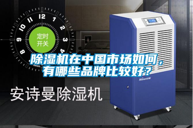 除濕機在中國市場如何，有哪些品牌比較好？