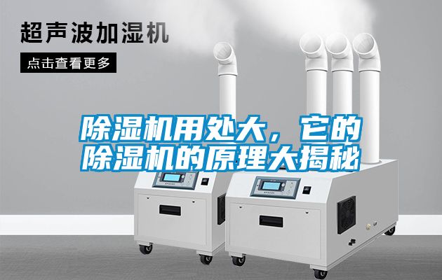除濕機(jī)用處大，它的除濕機(jī)的原理大揭秘