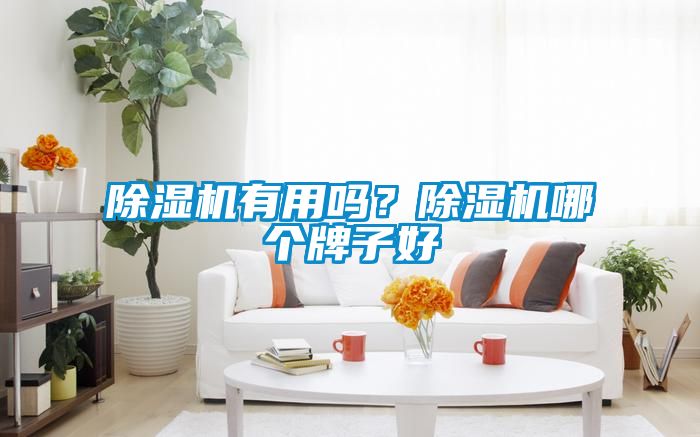 除濕機有用嗎？除濕機哪個牌子好