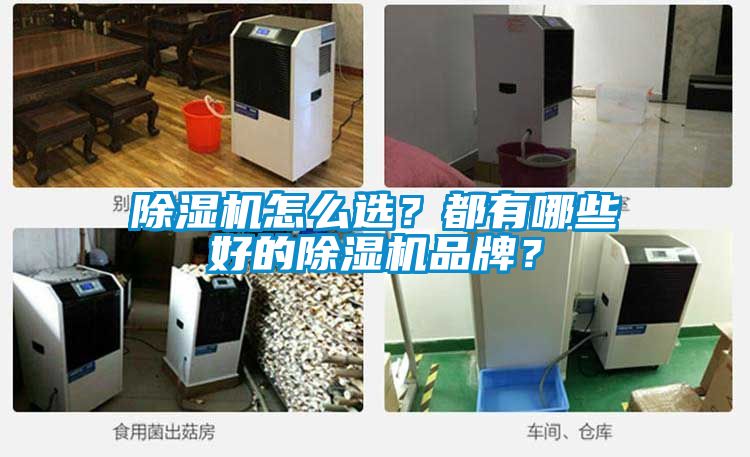 除濕機(jī)怎么選？都有哪些好的除濕機(jī)品牌？