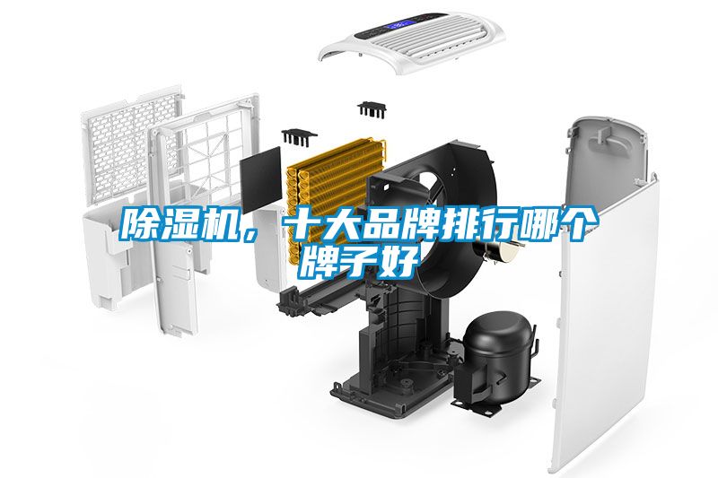 除濕機(jī)，十大品牌排行哪個(gè)牌子好