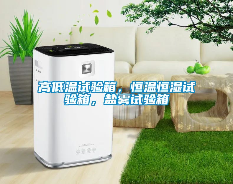 高低溫試驗箱，恒溫恒濕試驗箱，鹽霧試驗箱