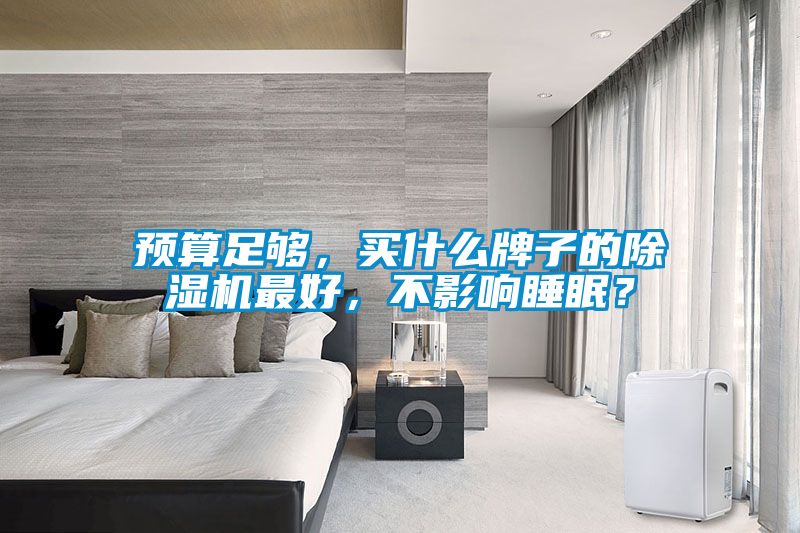 預(yù)算足夠，買什么牌子的除濕機(jī)最好，不影響睡眠？