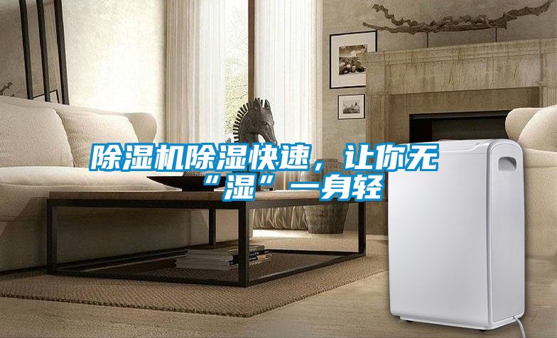 除濕機除濕快速，讓你無“濕”一身輕
