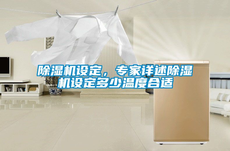 除濕機(jī)設(shè)定，專家詳述除濕機(jī)設(shè)定多少溫度合適