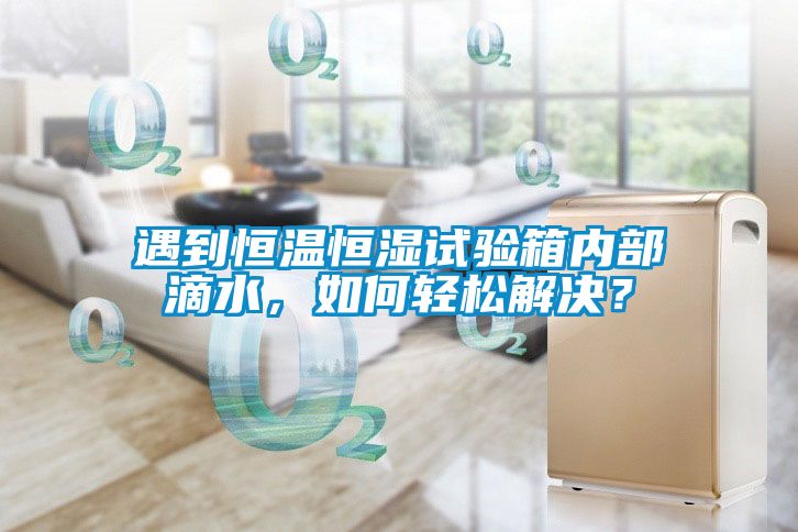 遇到恒溫恒濕試驗(yàn)箱內(nèi)部滴水，如何輕松解決？