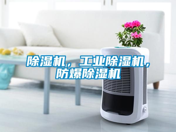 除濕機(jī)，工業(yè)除濕機(jī)，防爆除濕機(jī)