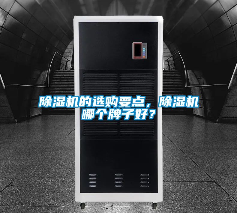 除濕機(jī)的選購要點(diǎn)，除濕機(jī)哪個(gè)牌子好？