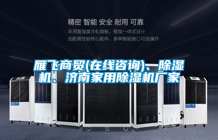 雁飛商貿(mào)(在線咨詢)、除濕機、濟南家用除濕機廠家