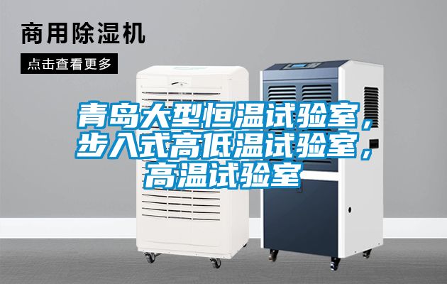 青島大型恒溫試驗(yàn)室，步入式高低溫試驗(yàn)室，高溫試驗(yàn)室