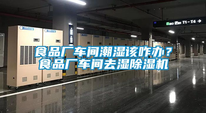 食品廠車間潮濕該咋辦？食品廠車間去濕除濕機