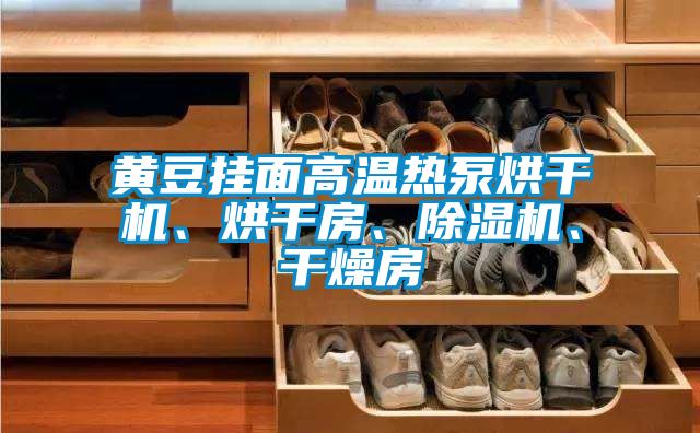 黃豆掛面高溫熱泵烘干機、烘干房、除濕機、干燥房