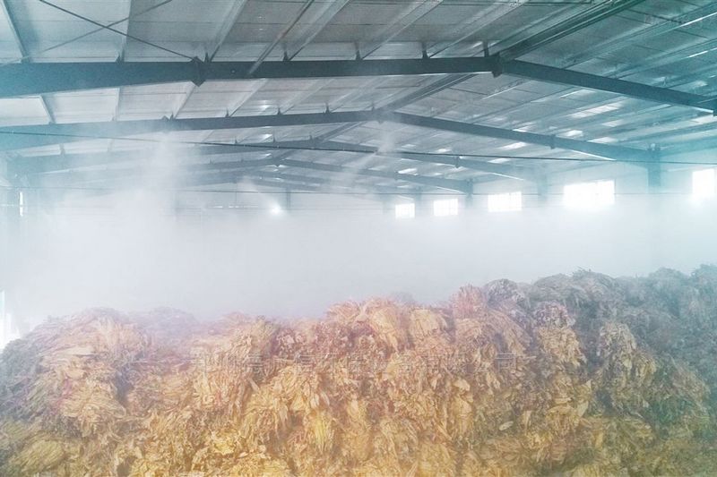 提升煙葉加工質(zhì)量，高效回潮很重要 煙葉除濕機(jī)