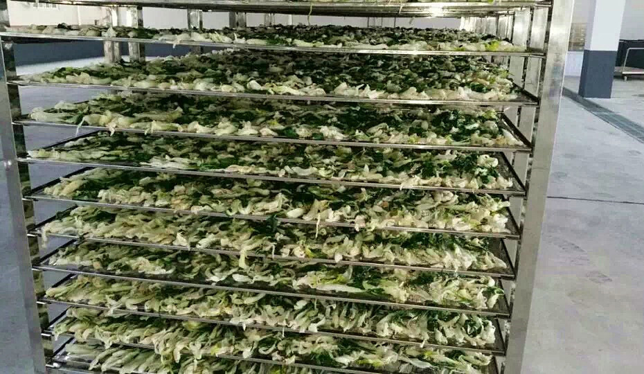 菜干需求一直都很大，蔬菜烘干機很有市場