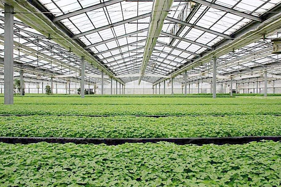 除濕器如何解決高濕度、多種危害的溫室除濕問題？